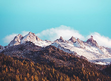 詹姆斯现身上海交大